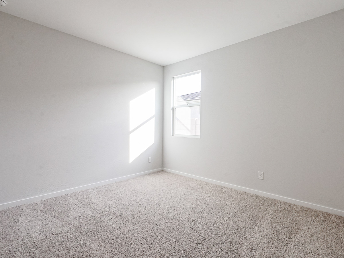A room with a carpet and windows.