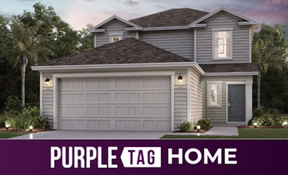 Purple Tag Home Lot 179 at The Landings at Pecan Park