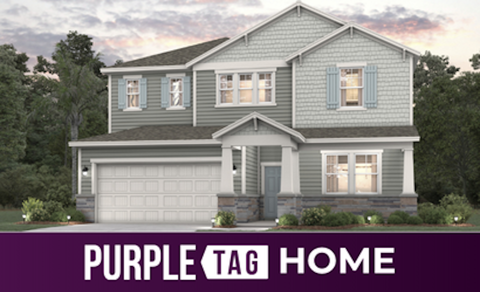 Purple Tag Home Lot 529 at NorthShore