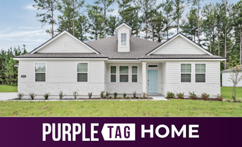 Purple Tag Home Lot 581 at NorthShore