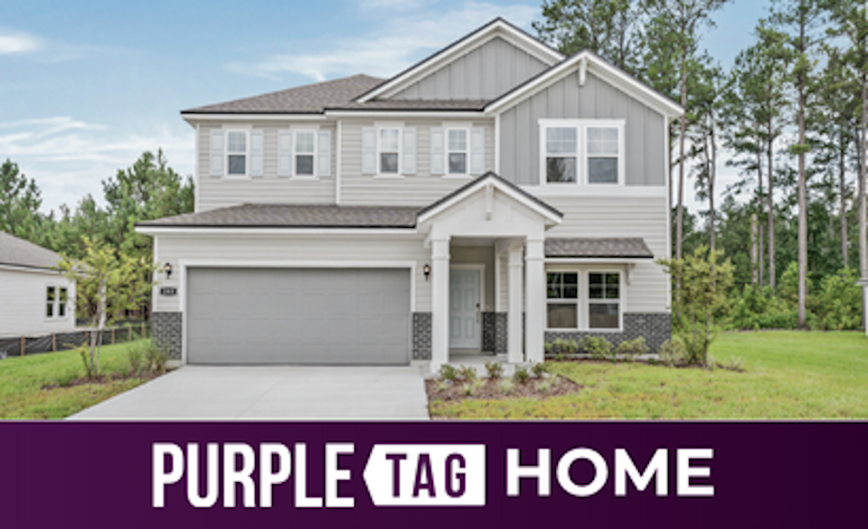 Purple Tag Home Lot 582 at NorthShore