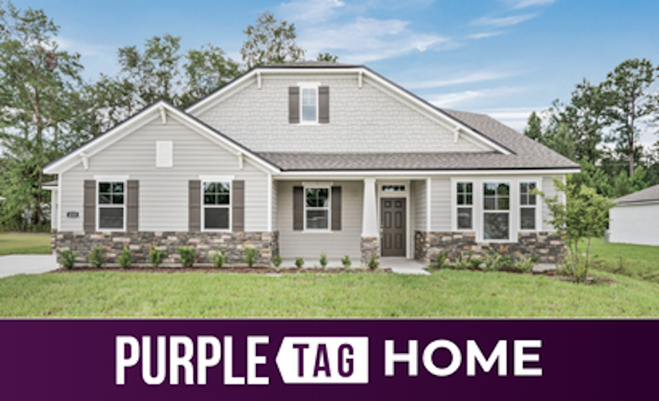 Purple Tag Home Lot 587 at NorthShore