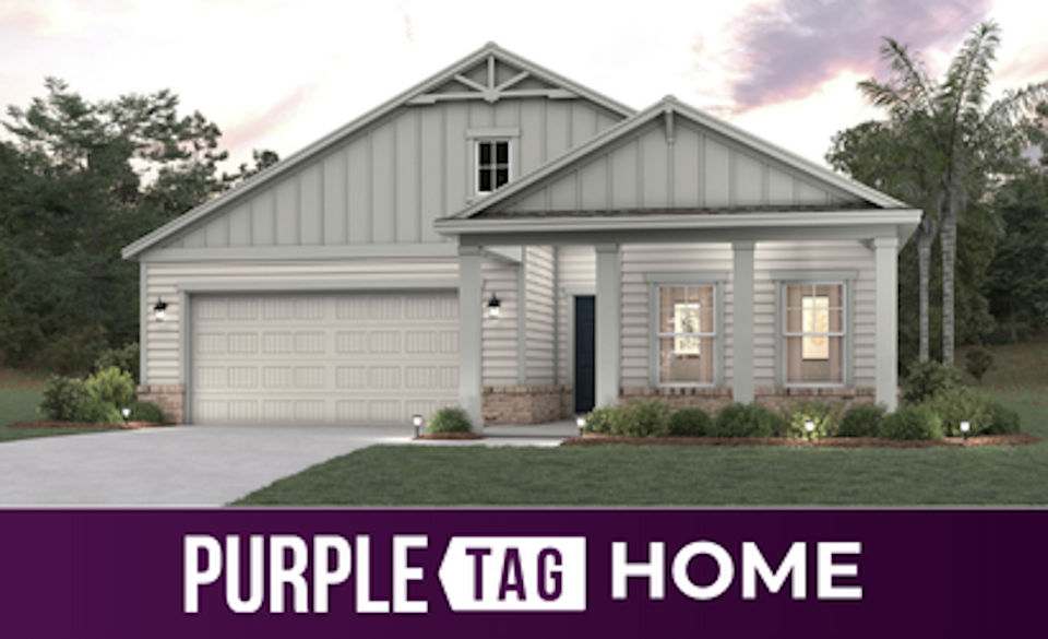 Purple Tag Home Lot 591 at NorthShore
