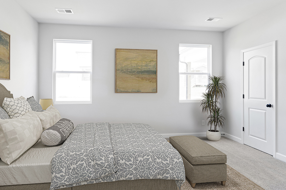 A room with a couch and a plant.