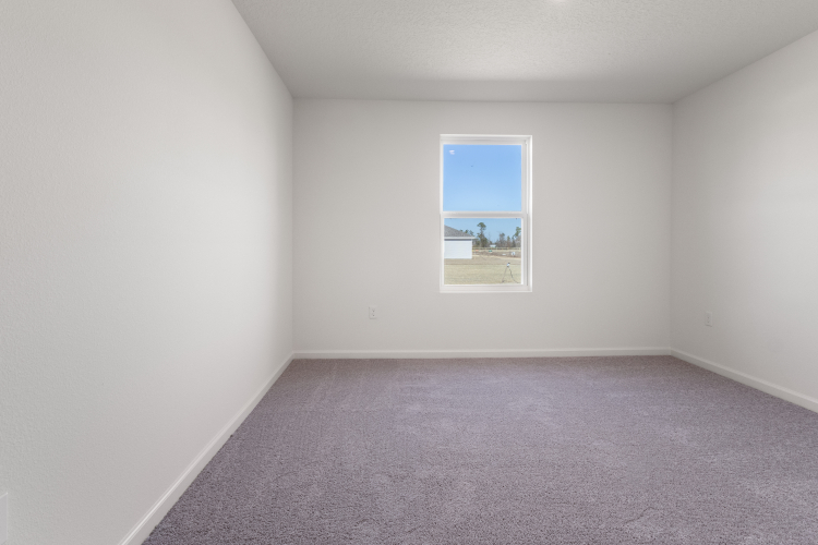 A room with a window and a carpet.