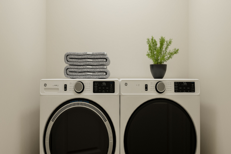 A white washing machine and a plant.
